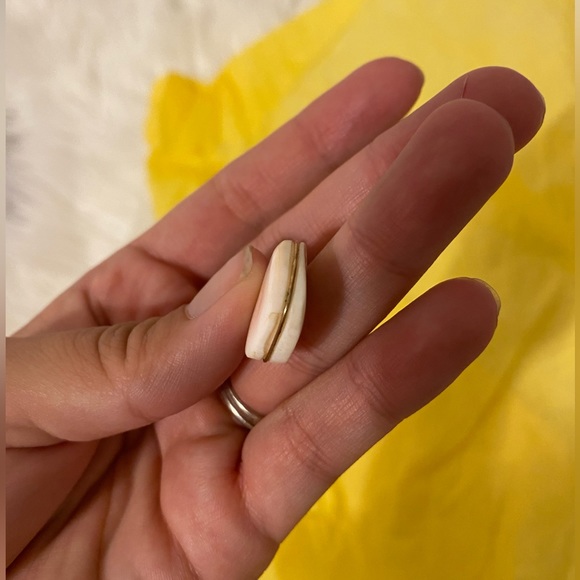 ✨ Shell 🐚 pendant necklace ✨ - Picture 4 of 4